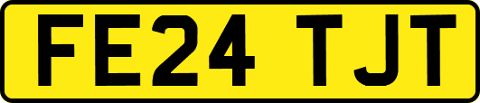 FE24TJT