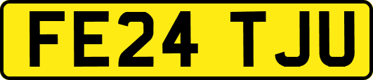 FE24TJU