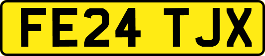 FE24TJX