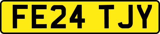 FE24TJY
