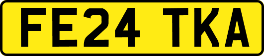 FE24TKA