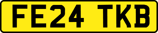 FE24TKB