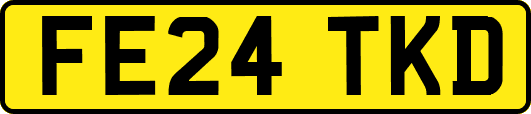 FE24TKD