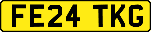FE24TKG