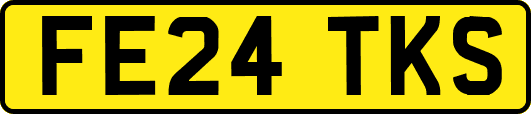FE24TKS