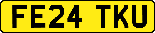 FE24TKU