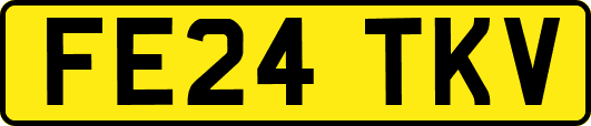 FE24TKV