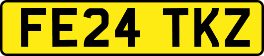 FE24TKZ