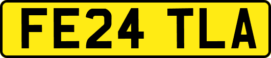 FE24TLA