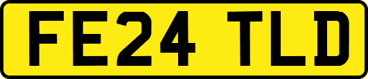 FE24TLD