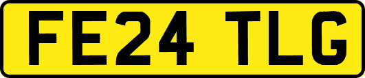 FE24TLG