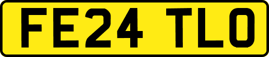 FE24TLO
