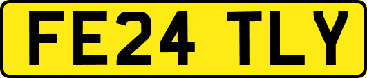 FE24TLY