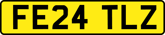 FE24TLZ