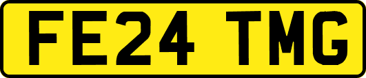 FE24TMG