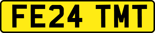 FE24TMT
