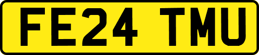 FE24TMU
