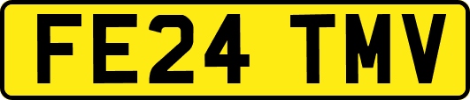 FE24TMV