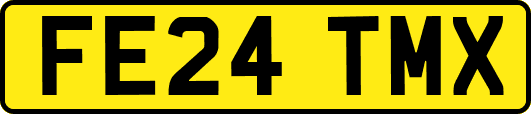 FE24TMX