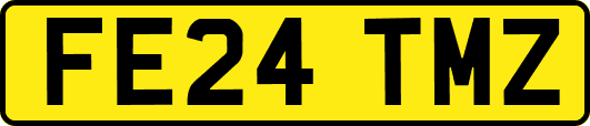 FE24TMZ