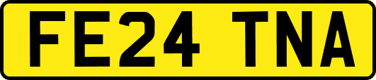 FE24TNA