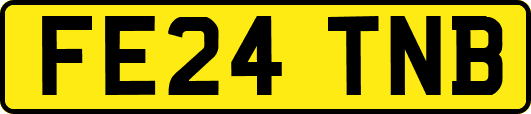 FE24TNB