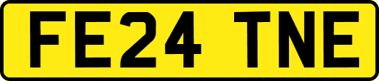 FE24TNE