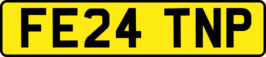 FE24TNP
