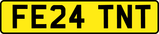 FE24TNT