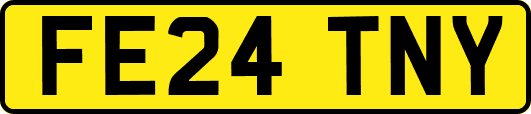 FE24TNY