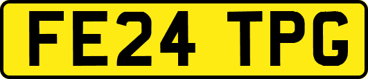 FE24TPG