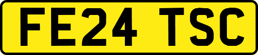 FE24TSC