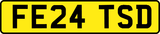 FE24TSD