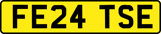 FE24TSE