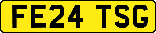 FE24TSG