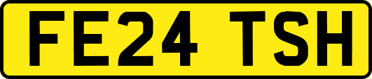 FE24TSH
