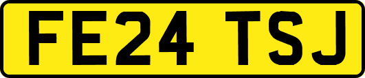 FE24TSJ