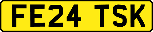 FE24TSK