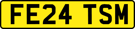 FE24TSM