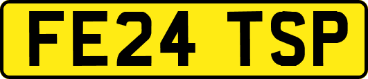 FE24TSP