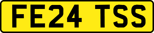 FE24TSS