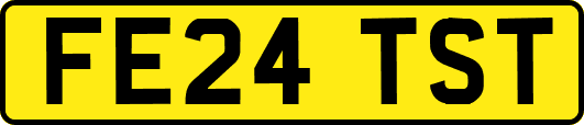 FE24TST