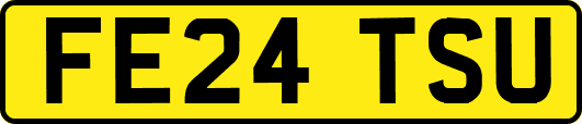 FE24TSU