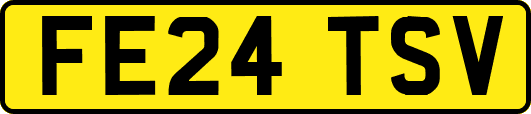 FE24TSV