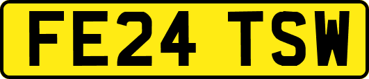 FE24TSW