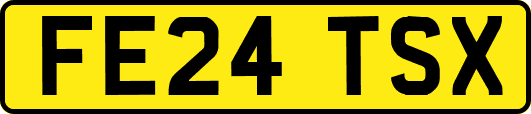 FE24TSX