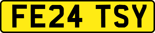 FE24TSY
