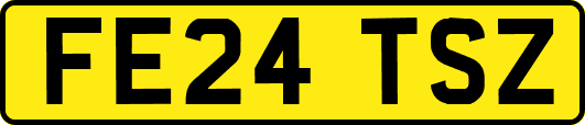FE24TSZ