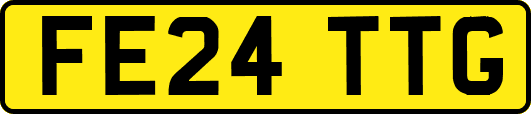 FE24TTG