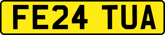 FE24TUA